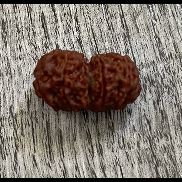 Certifired Gaurishankar Rudraksha Bead - Picture 1 of 3